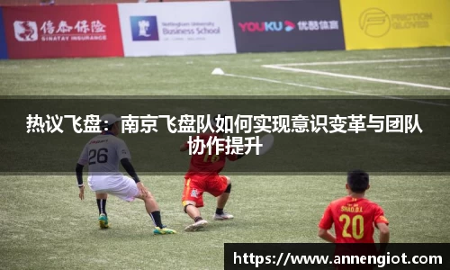 热议飞盘：南京飞盘队如何实现意识变革与团队协作提升